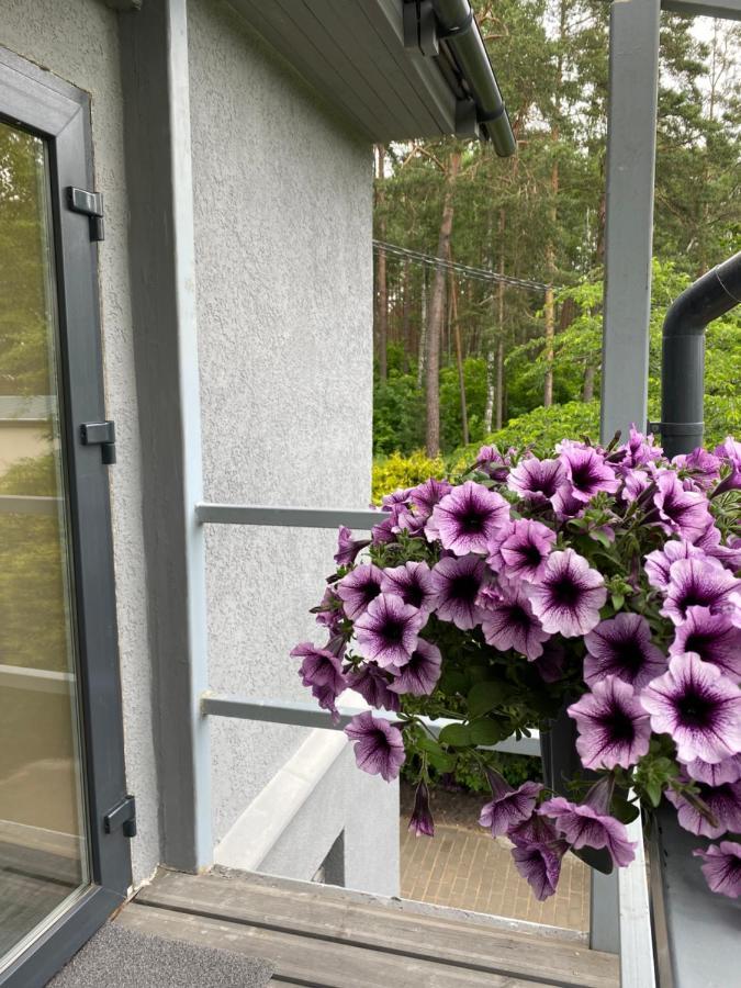 9 Mezmalas Iela Jūrkalne Eksteriør billede